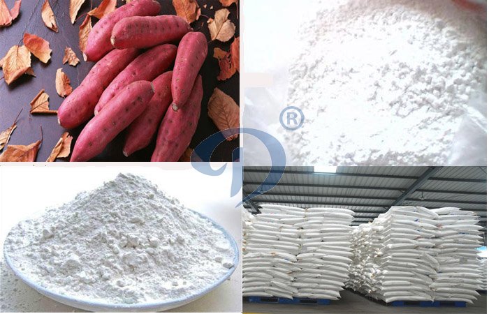 Resistant starch and the sweet potato
