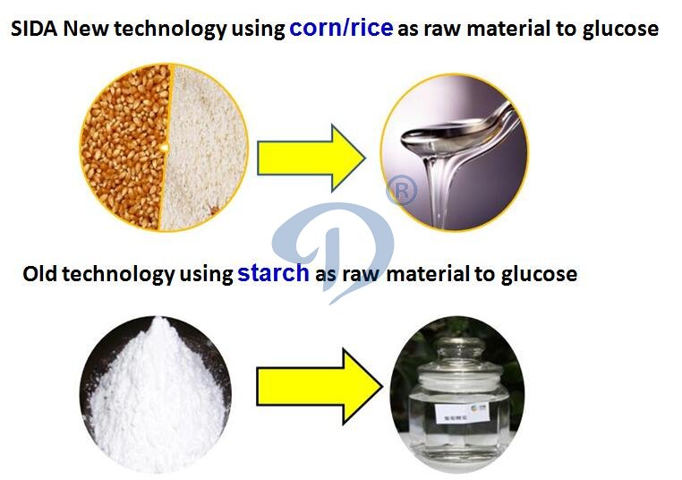 glucose manufacturing plant