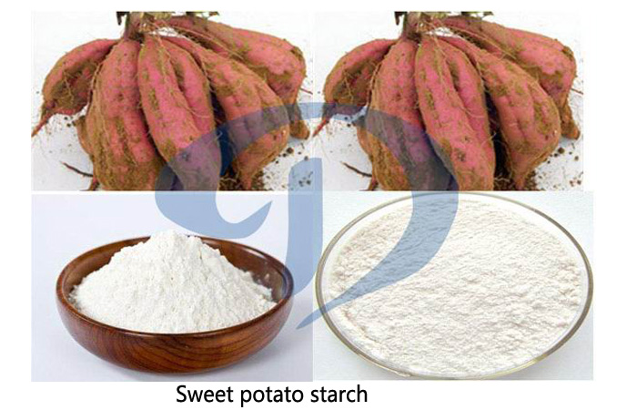 sweet potato starch