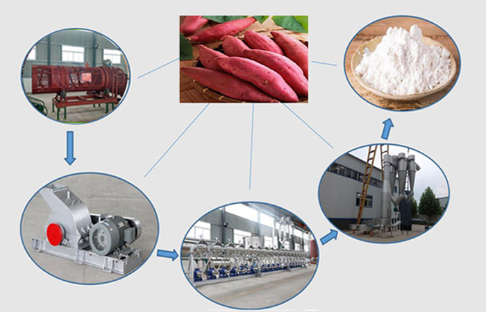 sweet potato starch production plant