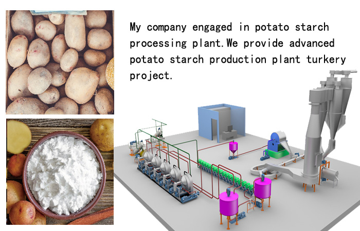 potato starch processing plant