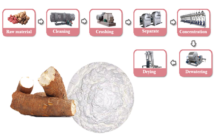 What is the process during cassava starch production line