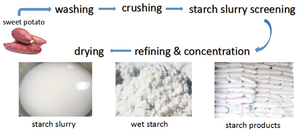 sweet potato starch processing