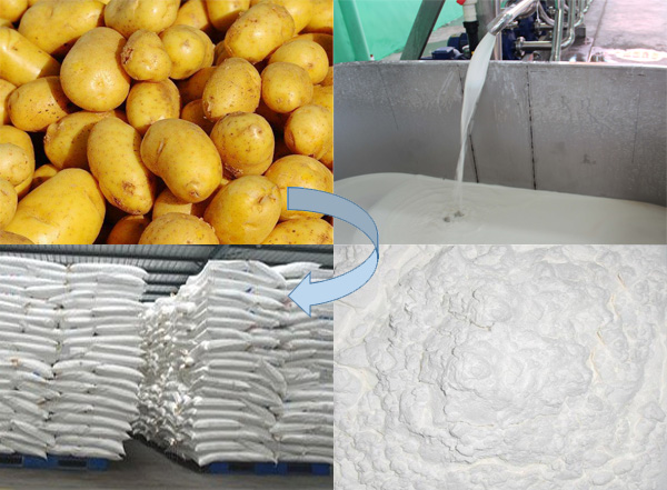 potato starch extraction machine