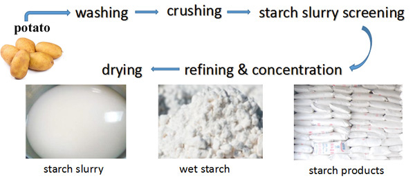 potatp starch production process