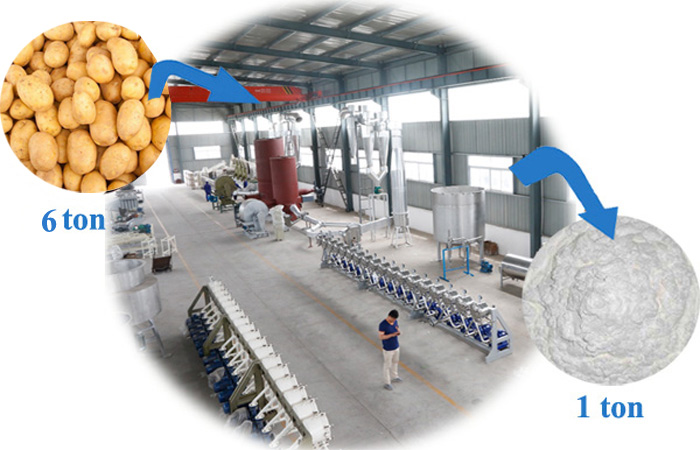 Potato starch production EU technology