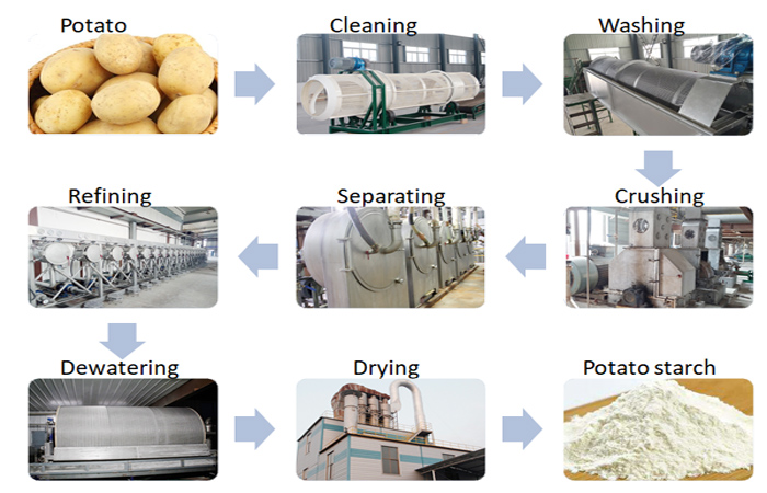 How to extract starch from potato？