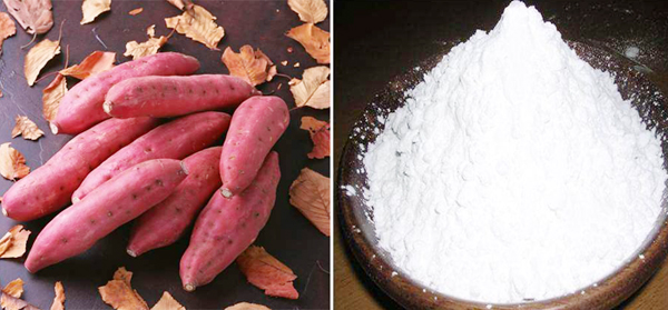 sweet potato& sweet potato starch