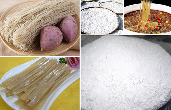 sweet potato starch uses