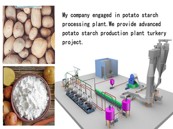 potato starch production plant