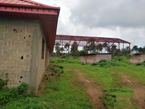 cassava flour production plant