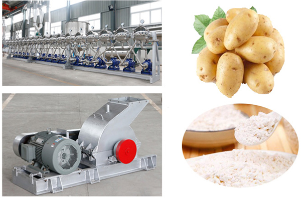 potato starch processing plant