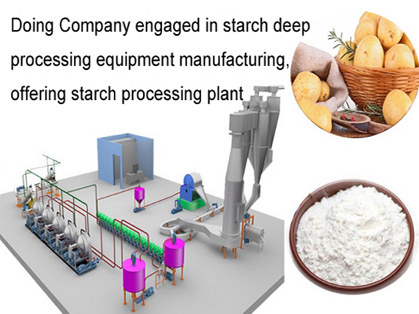 potato starch processing plant