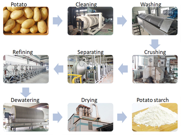 Potato starch processing technology