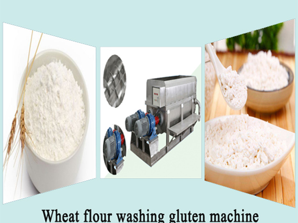 Stainless steel gluten maker