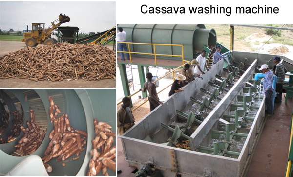 cassava starch production equipment