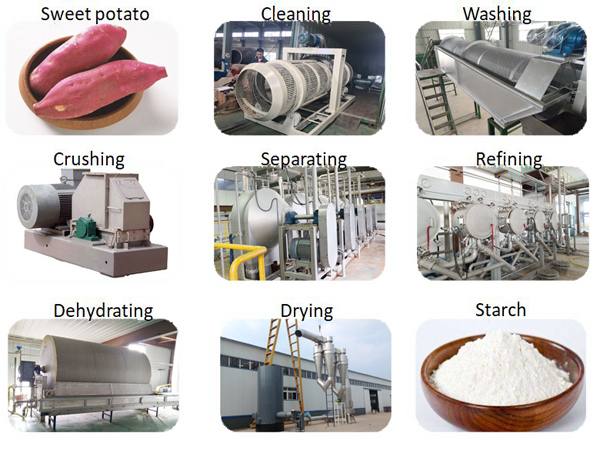 sweet potato starch machine
