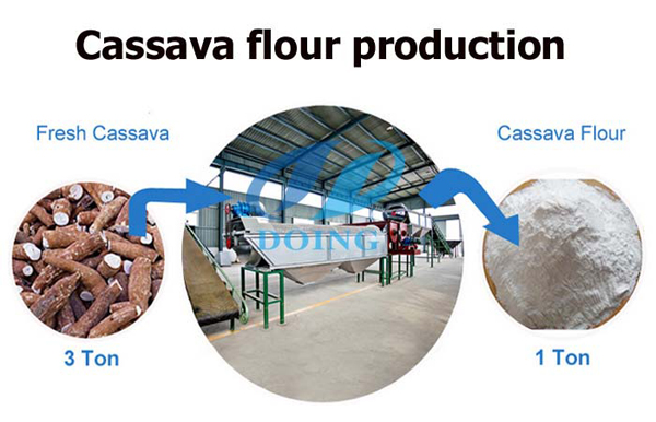 cassava flour production line