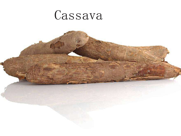 cassava