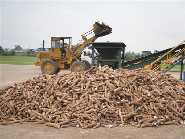 Cassava flour production in Nigeria - development trends analysis