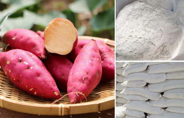 sweet potato starch