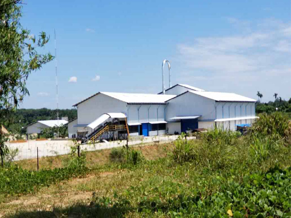 Cassava flour production plant