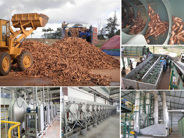 cassava starch production machine