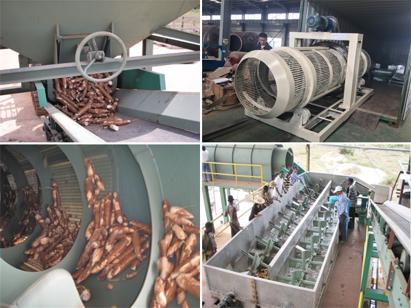 cassava starch production machine