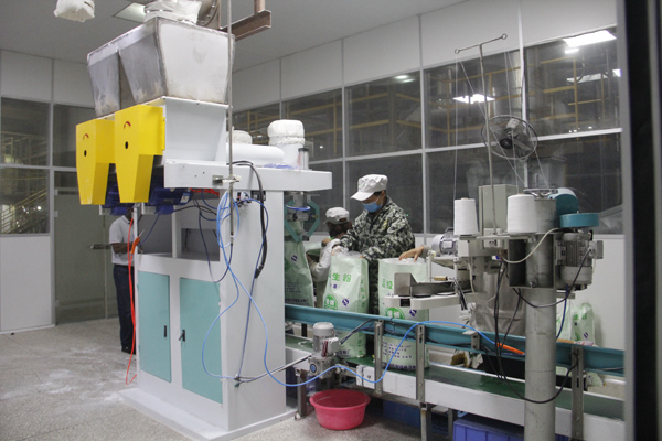 cassava flour processing machine