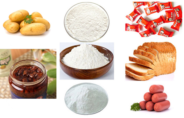 world potato starch production development prospect