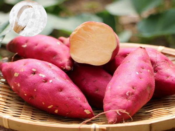 Economic importance of sweet potato in the Philippines