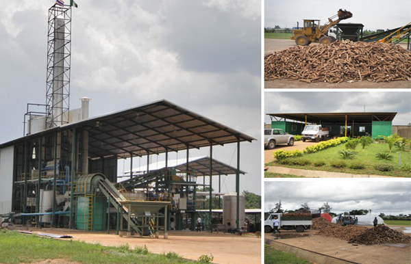 cassava starch plant