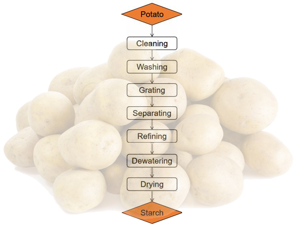 Potato starch processing flow chart