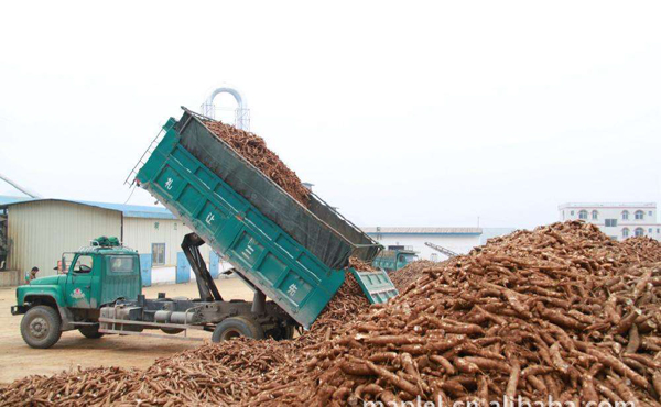 cassava starch processing line