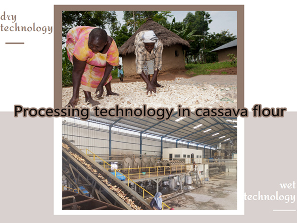 Processing technology in cassava flour: dry technology VS. wet technology