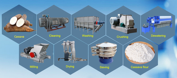 Modern equipment for cassava flour processing