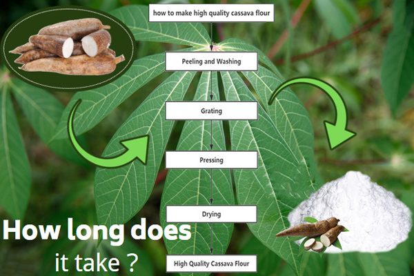 process cassava in Nigeria