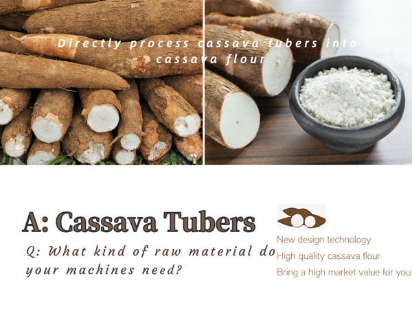 Most asked questions：TOP 3 questions (asked about cassava flour processing machine)