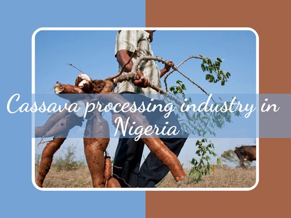 The Cassava Processing Industry in Nigeria: Traditional Techniques, Technological Developments and New Opportunity