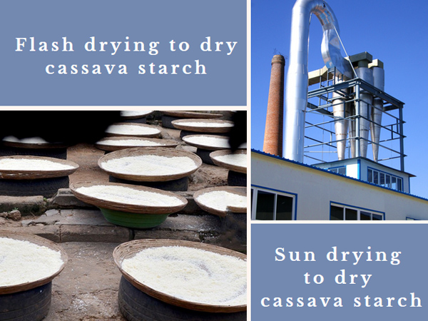 How to dry cassava starch for processing cassava into starch?