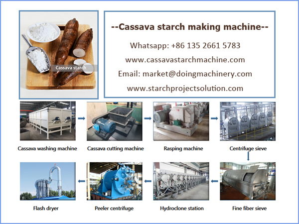 Modern cassava starch processing technology