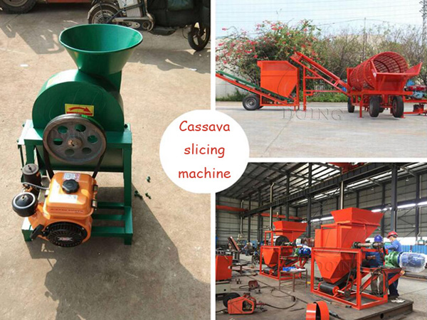 Video of different cassava chips cutting machine