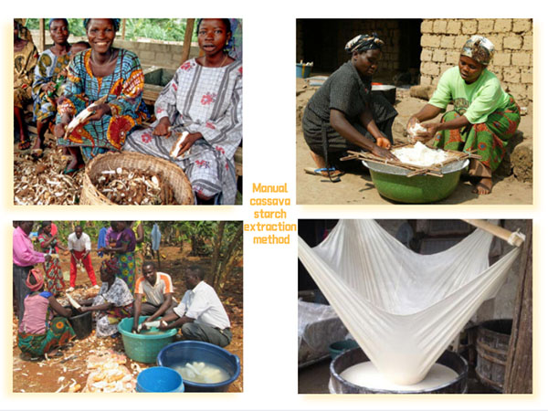 cassava starch extraction