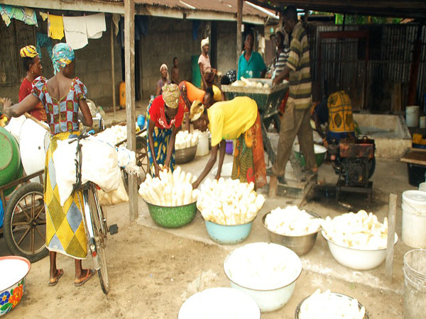 garri processing factory in Nigeria