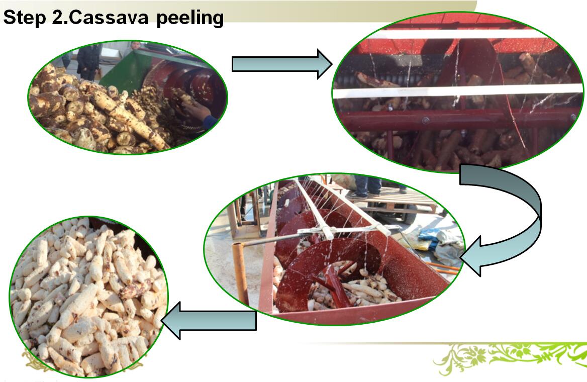 tapioca peeling