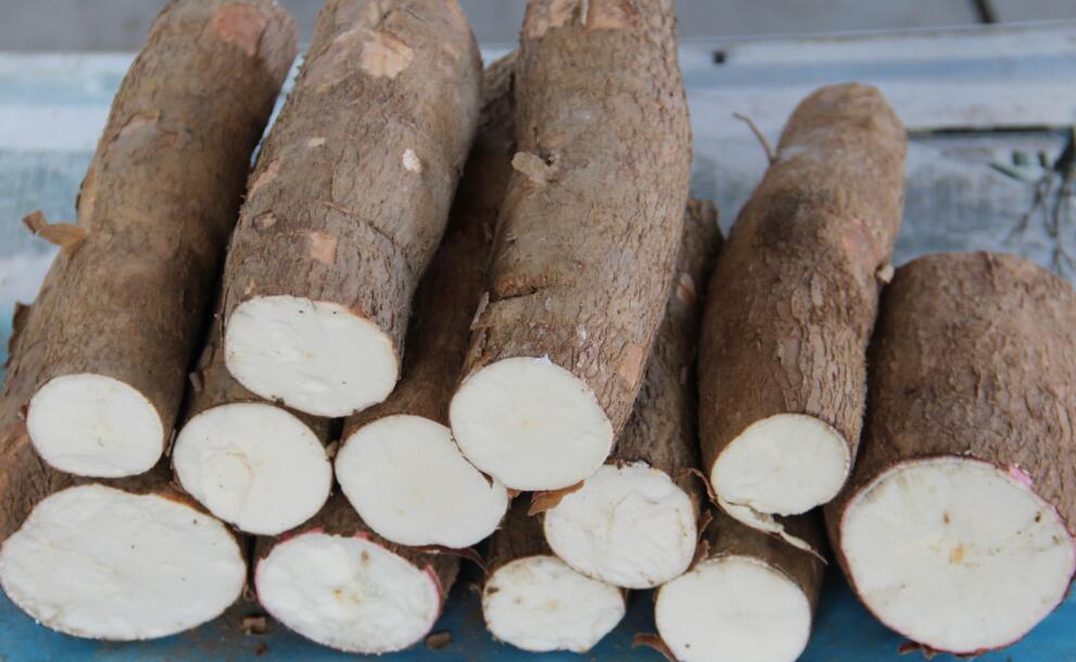 Fresh cassava