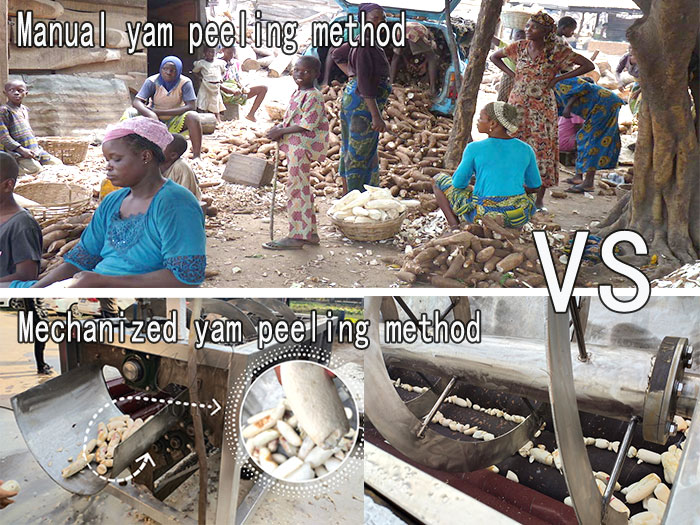 manual yam peeling method vs mechanized yam peeling method