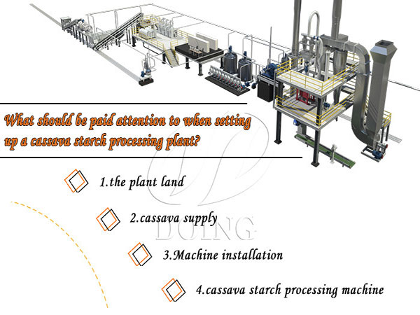 What should be paid attention to when setting up a cassava starch processing plant?