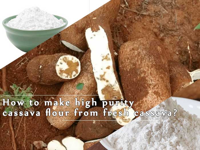 How to make high purity cassava flour from fresh cassava?