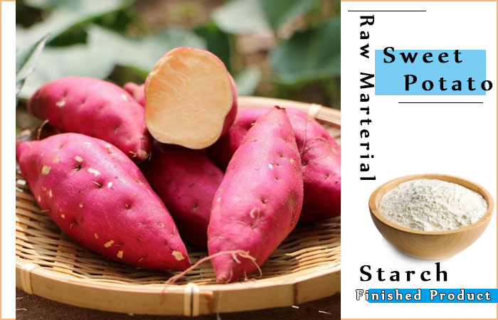 sweet potato starch processing 